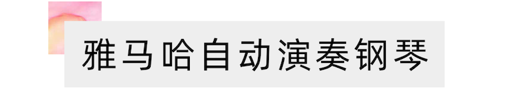 活动报道 | “科技助力，跨越时空”，小鹿纯子携手刘明康共享中日音乐盛宴